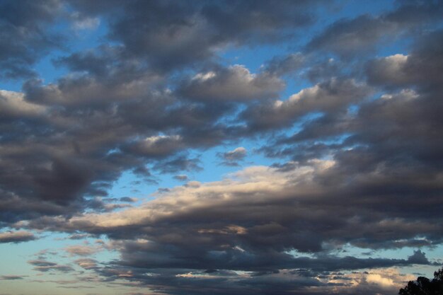 Foto el cielo y podría