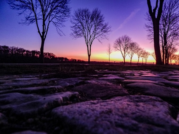 Un cielo púrpura está iluminado por el sol y los árboles son visibles.