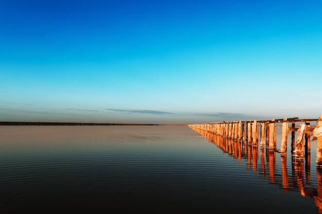 Cielo con reflejos en rosa lago salado con troncos de madera