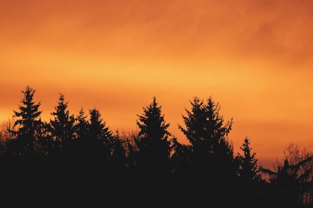 Cielo rojo y nubes sobre el bosque en una mañana soleada. Cielo rojo dramático