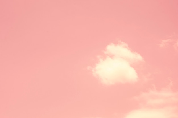 Foto cielo rosa con fondo borroso