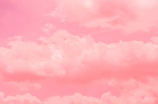 Cielo rosa, fondo estampado