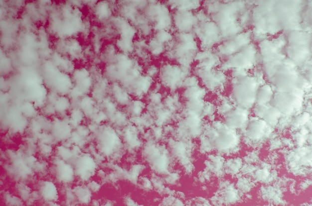 Foto cielo rosa con patrón borroso