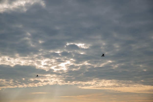 Cielo con textura de nubes al amanecer