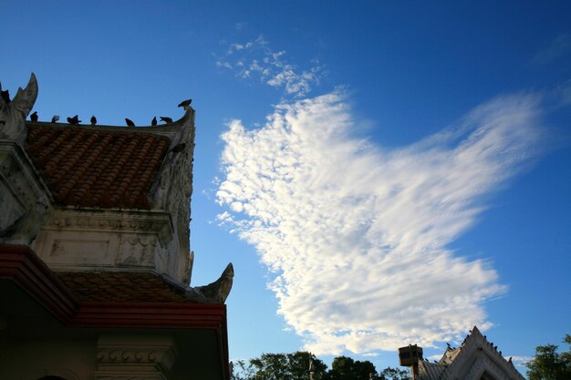 El cielo tiene nubes en forma de pájaro.