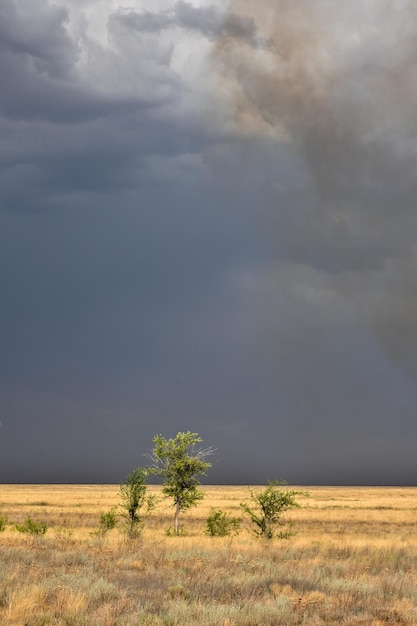 Cielo tormentoso en el campo tormenta en la estepa fuego en la estepa