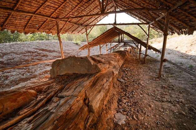 Ciencias geológicas