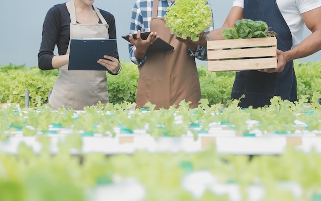 Científica examinando plantas en granjas de invernadero científicas sosteniendo equipos para plantas de investigación en granjas orgánicas Control de calidad para granjas de vegetales hidropónicos