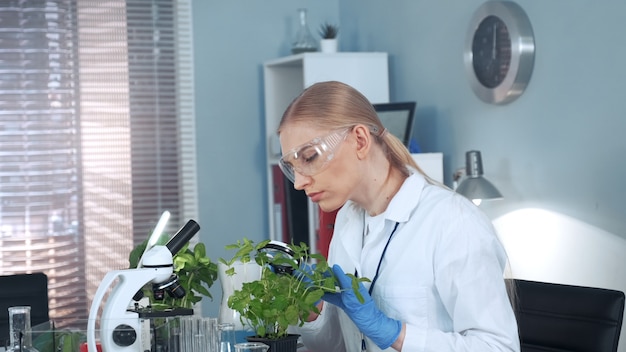 Científica investigadora busca en planta bajo lupa