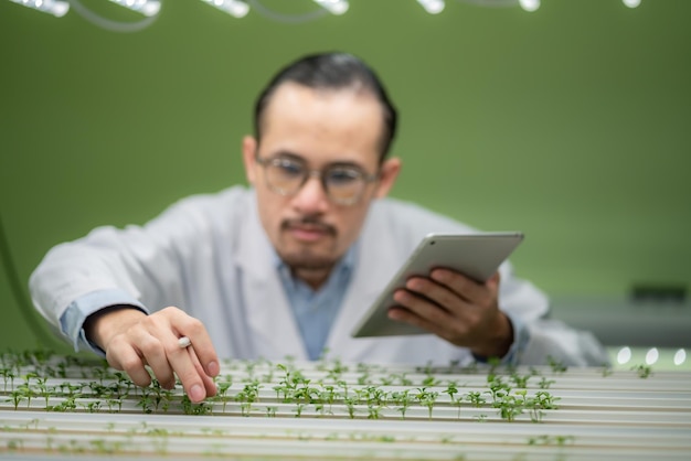 Científico agrícola profesional que trabaja para investigar una planta vegetal orgánica en el desarrollo de invernaderos de laboratorio de tecnología inteligente para la agricultura de crecimiento hidropónico granja vertical interior