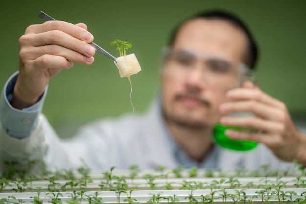 Científico agrícola profesional que trabaja para investigar una planta vegetal orgánica en el desarrollo de invernaderos de laboratorio de tecnología inteligente para la agricultura de crecimiento hidropónico granja vertical interior