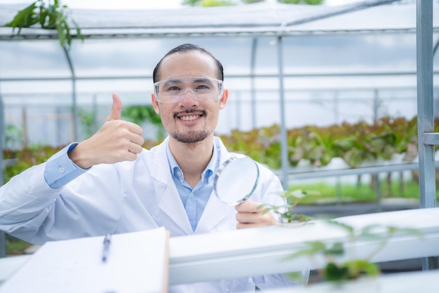 Científico agrícola que trabaja para investigar una planta vegetal verde en un campo de biotecnología de laboratorio de biología es un experimento de botánica tecnológica del crecimiento de la agricultura de invernadero orgánico de la ecología de la naturaleza