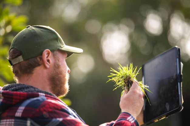 científico agrónomo agricultor mirando muestras de suelo y pasto en un campo en primavera mirando el crecimiento de las plantas y la salud del suelo usando un teléfono y tecnología para decir conectado en australia