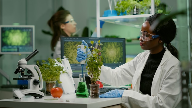 Científico biólogo hablando de la solución del matraz médico poniendo un retoño verde para el experimento genético