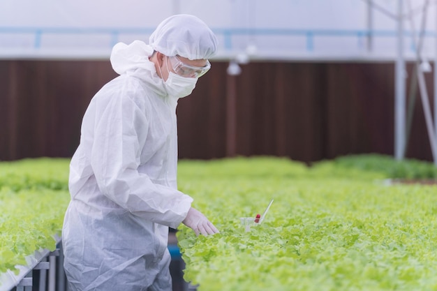 Científico comprobando y probando productos químicos del agua para alimentar una planta vegetal en una granja de invernadero. Finca ecológica con alta tecnología. Agricultura para la alimentación del futuro. Las lechugas cultivadas por hidroponía.