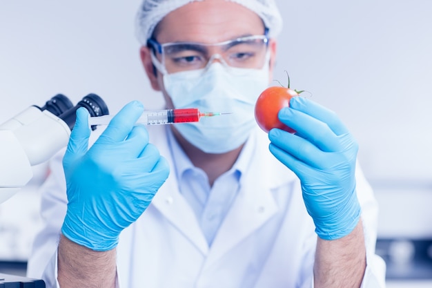 Científico da comida injetando um tomate