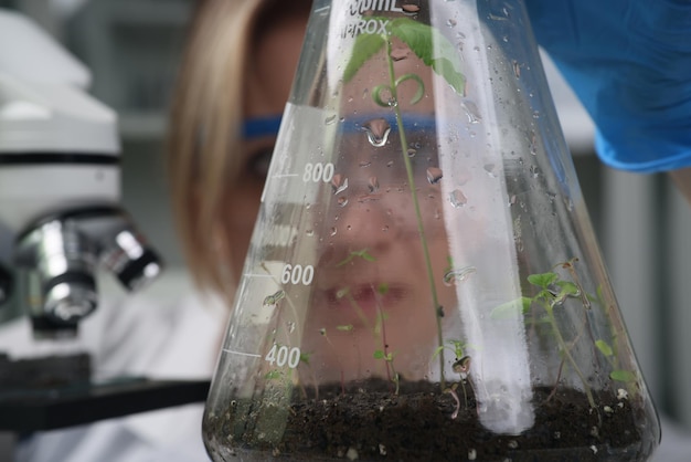 Foto científico enfocado sostiene frasco de vidrio con planta de cannabis