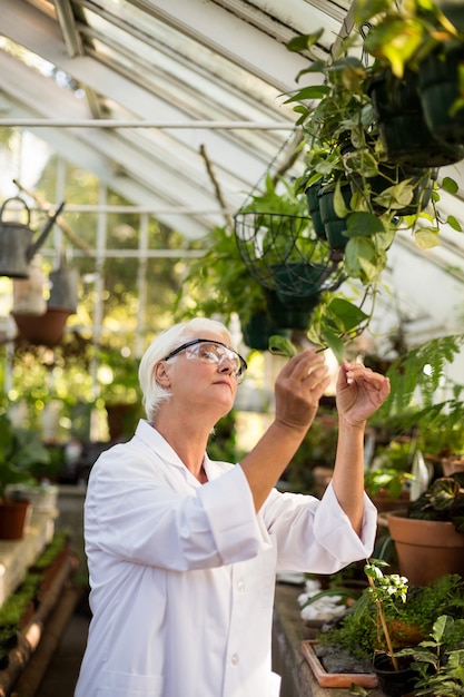 Científico femenino examinar hojas de plantas