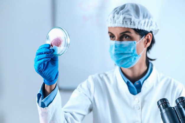Científico femenino mirando muestra de carne en placa de Petri en laboratorio