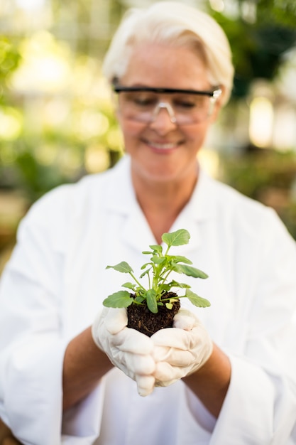 Científico femenino sonriendo mientras sostiene la planta