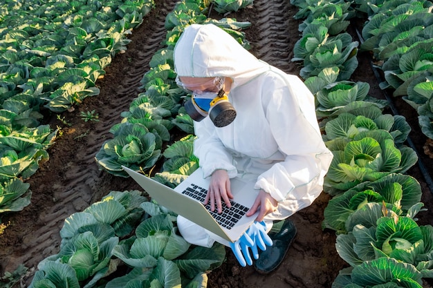El científico que lleva un equipo de protección blanco, una máscara química y gafas utiliza una computadora portátil en el campo agrícola.