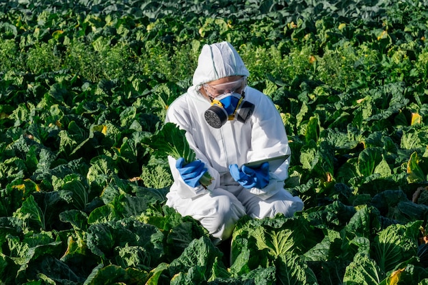 El científico que lleva un equipo de protección blanco, una máscara química y gafas utiliza una tableta en el campo agrícola