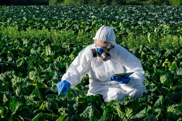 El científico que lleva un equipo de protección blanco, una máscara química y gafas utiliza una tableta en el campo agrícola.