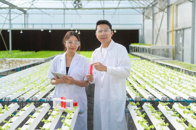 Científico que trabaja en una granja de invernadero hidropónico, alimentos limpios y concepto de ciencia alimentaria