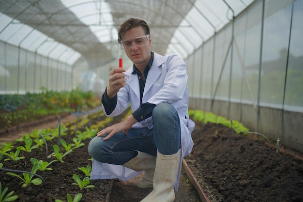 Científico recolectando muestras de vegetales hidropónicos para su análisis
