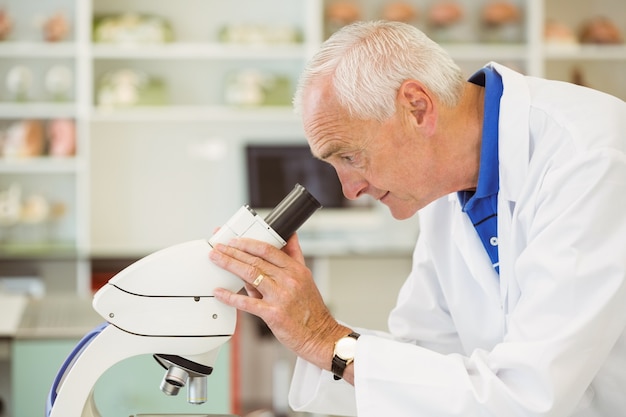 Científico Senior mirando a través del microscopio