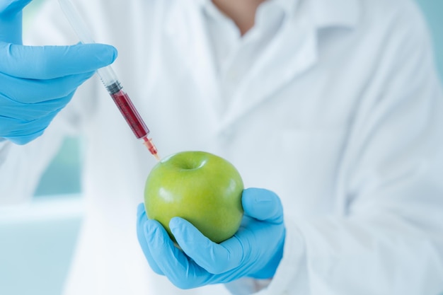 Los científicos comprueban los residuos químicos de los alimentos en el laboratorio Los expertos de control inspeccionan la calidad de la fruta Los científicos inyectan productos químicos en las manzanas para experimentos