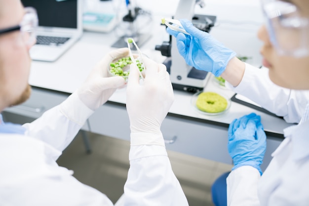 Foto científicos haciendo investigación en laboratorio