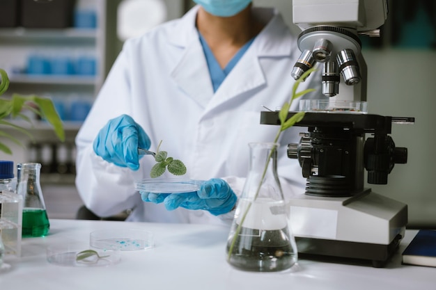 Científicos con investigación en medicina natural productos naturales para el cuidado de la piel laboratorios y conceptos de desarrollo