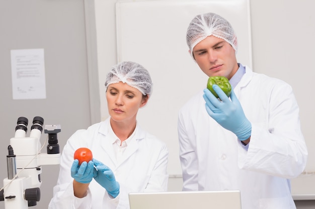 Científicos que examinan atentamente pimiento verde y tomate