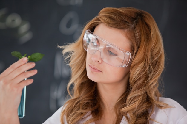 Cientista atraente conduzindo um experimento