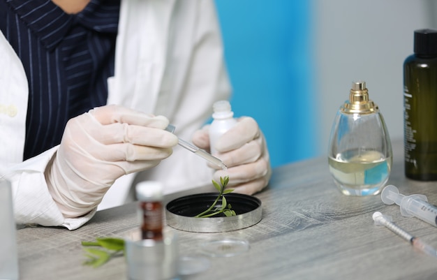 Cientista com pesquisa de drogas naturais, extração orgânica e científica natural em vidraria, medicina alternativa de ervas verdes, produtos de beleza naturais para cuidados com a pele, conceito de laboratório e desenvolvimento.