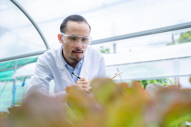 Cientista da agricultura trabalhando para pesquisar uma planta vegetal verde em um campo de biotecnologia de laboratório de biologia é um experimento de botânica tecnológica da natureza ecologia crescimento de cultivo de estufa orgânica