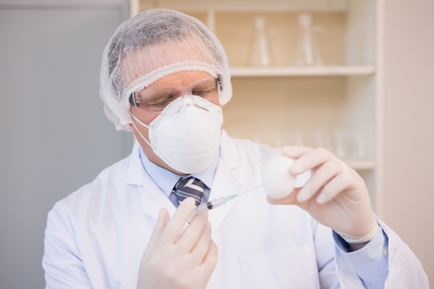 Cientista da comida que examina um ovo