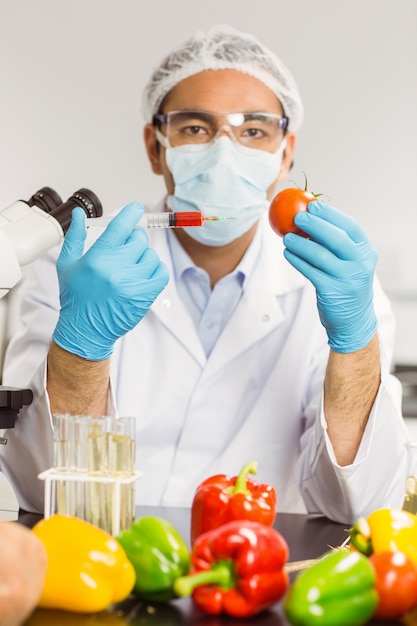 Foto cientista de alimentos injetando um tomate na universidade