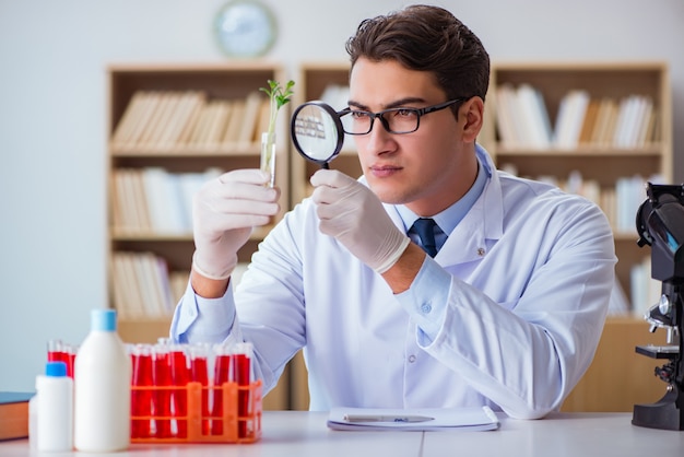 Cientista de biotecnologia trabalhando no laboratório