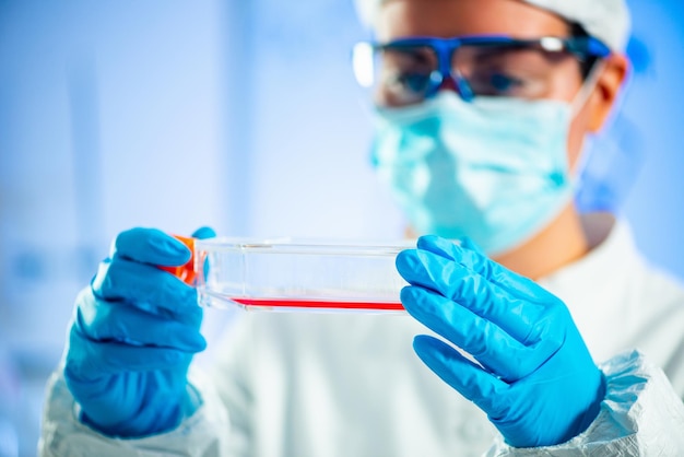 Cientista de laboratório de biologia a trabalhar com cultura celular
