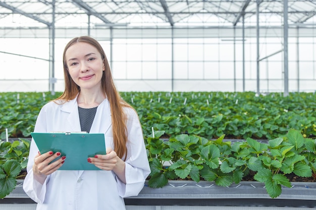 Cientista de retrato em grande casa verde fazenda de agricultura orgânica de morango para pesquisa de plantas mulher trabalhadora