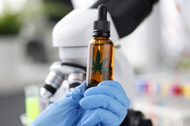 Cientista está testando em laboratório o óleo cbd extraído da planta de maconha