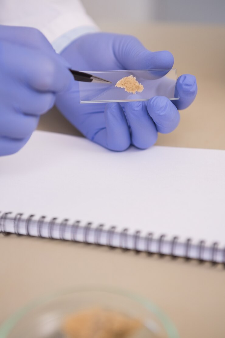 Foto cientista examinando pedaços de pão