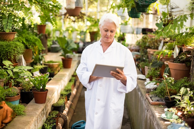 Cientista fêmea usando tablet digital em meio a plantas