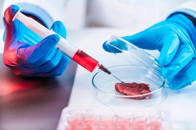 Cientista injetando substância vermelha com seringa em amostra de carne em placa de Petri