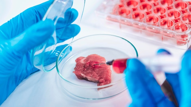 Cientista injetando substância vermelha com seringa em amostra de carne em placa de Petri