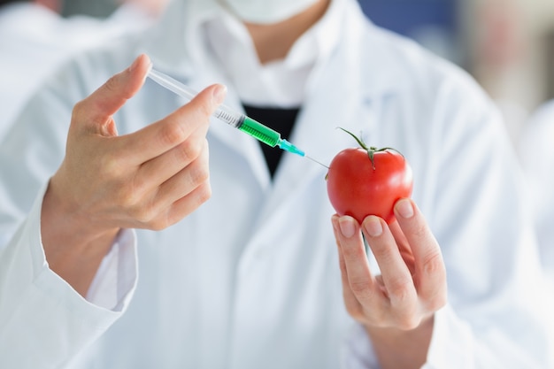 Cientista injetando um tomate