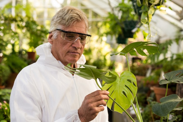 Cientista masculina em roupa limpa, inspecionando as folhas da planta