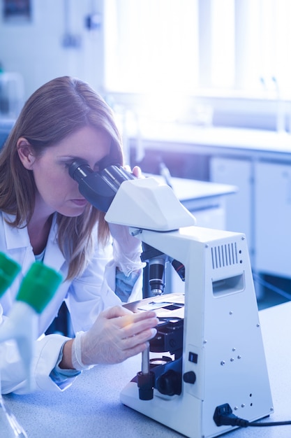 Cientista que trabalha com um microscópio em laboratório